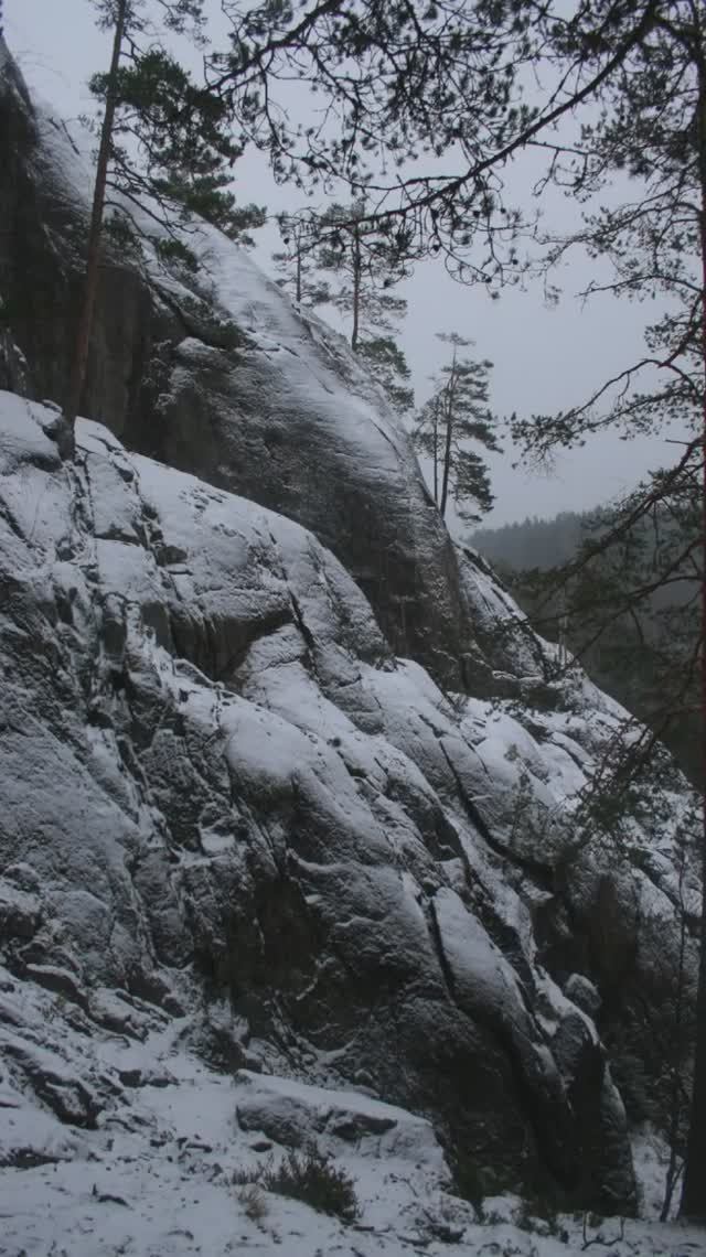 Карельский перешеек 2007. Снежное утро. Большие скалы. Ноябрь 2007г.mp4