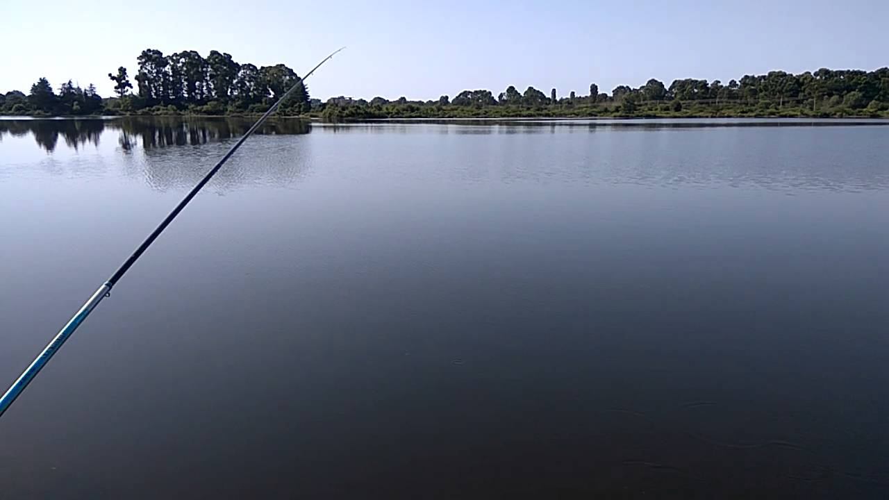 Ловля карася.