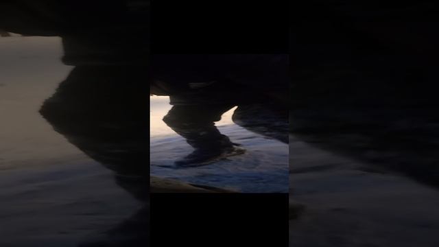 VID_20241215_163103.mp4