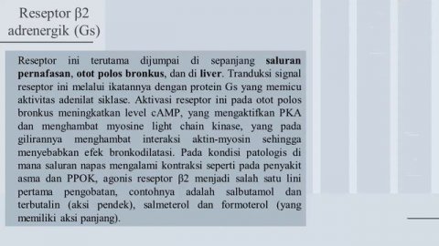 Reseptor Adrenergik Farmakologi Molekuler
