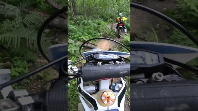 Атмосферная тропинка #эндуро #мотокросс #мото #enduro