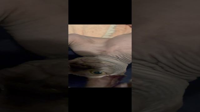 15-12-2024