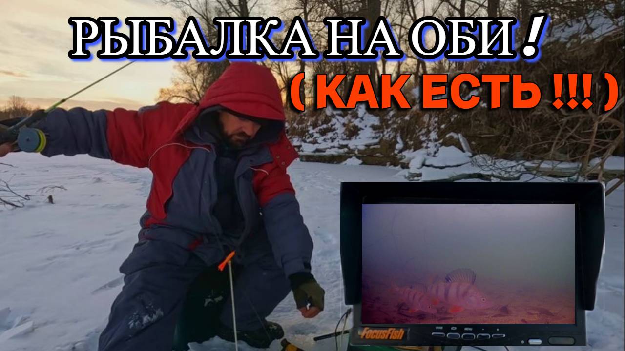 РЫБАЛКА НА ОБИ !!! 13 декабря 2024г. Как есть !!!