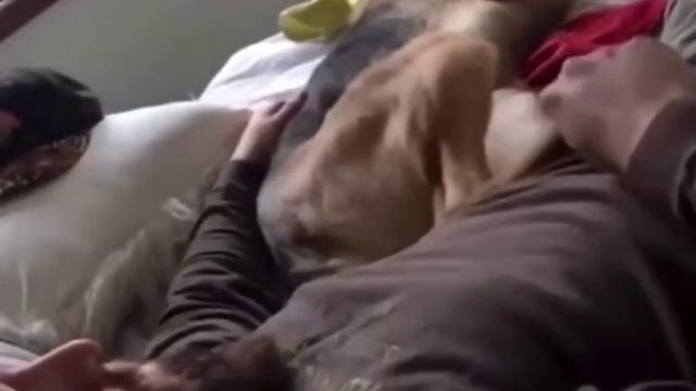 1000004137.mp4