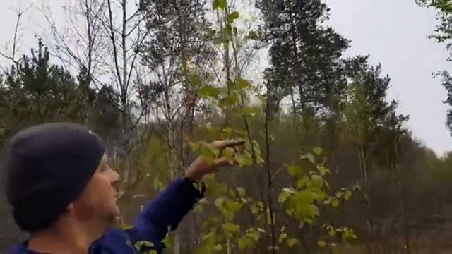 Жизнь на Черничном Хуторе: от завтрака до прогулки по весеннему лесу! Наслаждаемся каждым моментом!