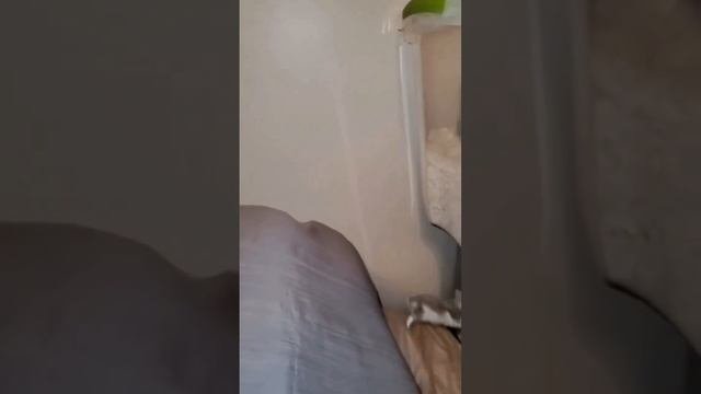 ПРЫЖОК ВЕКА😂😂😂