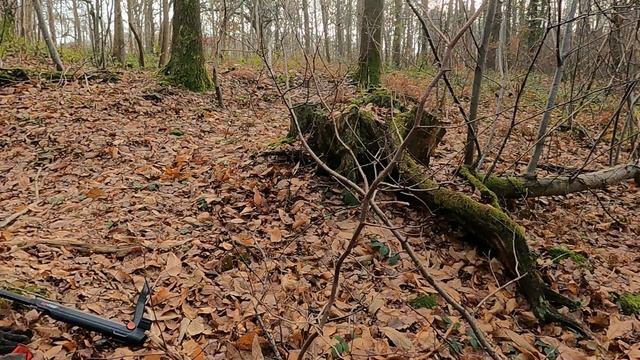 поиски кладов в лесу замка САН ЖЕРМЕН