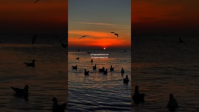 d634fc0ebb82170ca5555568da8c707e.mp4