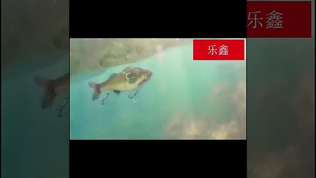 Пропелерный воблер