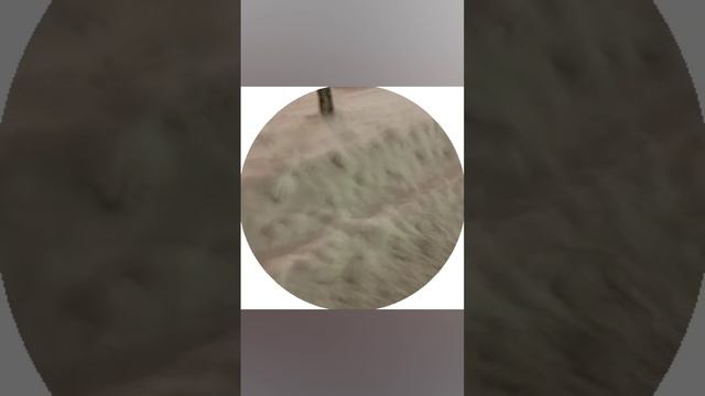 1000000834.mp4