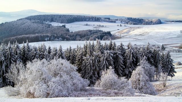 Плейлист "Миниатюры" 137 | #зима #зимой #зимнеенастроение #зимняяпрогулка #зимнийсад #зимнийсезон