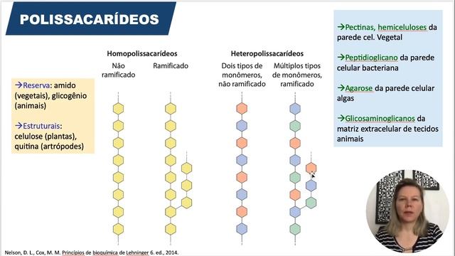 BIOQUÍMICA | Estrutura de Carboidratos -Monossacarídeos modificados, dissacarídeos e polissacarídeo