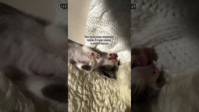 1000081473.mp4