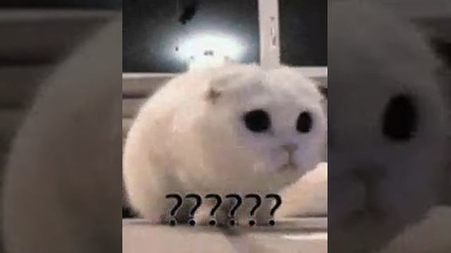 чë