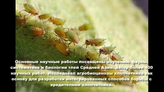 Мухаммедкул Нарзикулович Нарзикулов