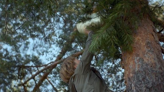 Лето Нулевые