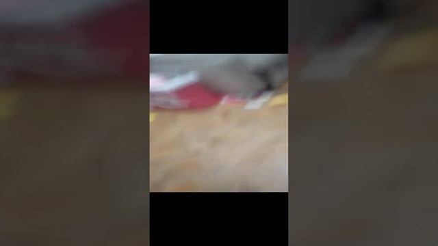 светящиеся палочки