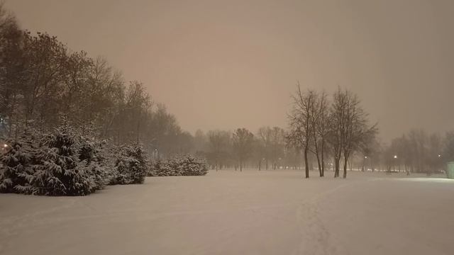 14.12.2024 . Погода Петербург . 23:23 . -3° . В Питере - ЗИМА ! Снегопад ! ❄️