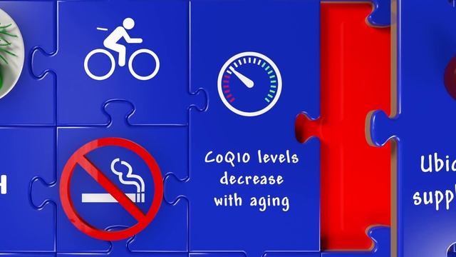Control Your Heart Health with Ubiquinol