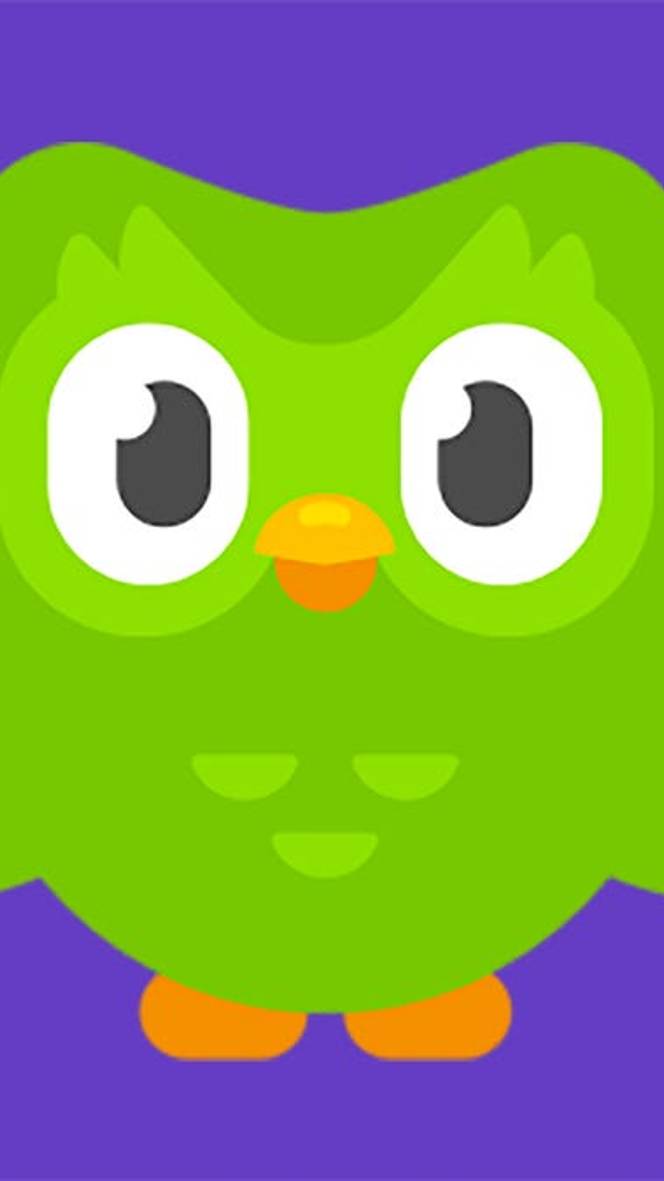 Приложение Duolingo где можно изучать языки