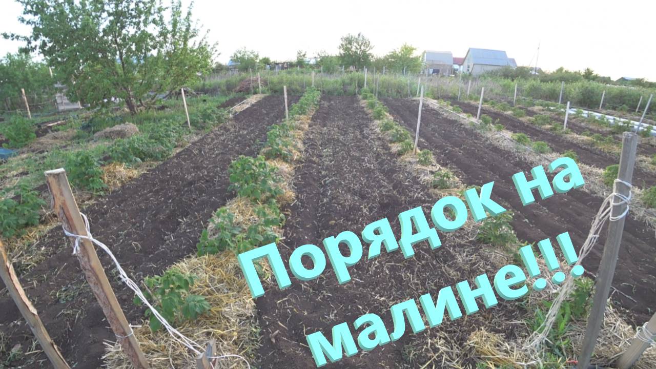 13 выпуск   22 мая Навели порядок на малине г. Оренбург, перезалив