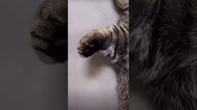 Продолжение следует