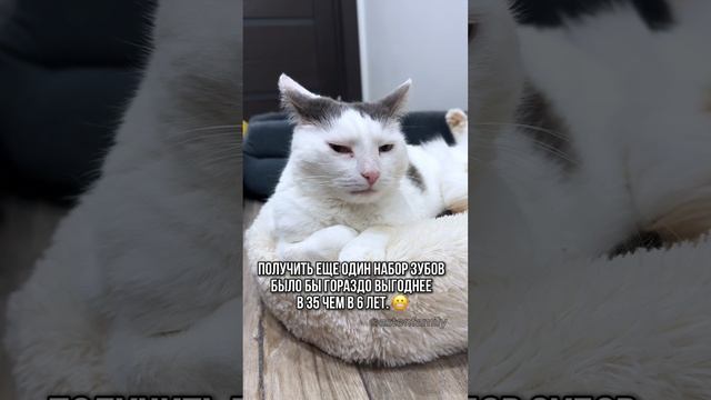 Мудрость дня🤓