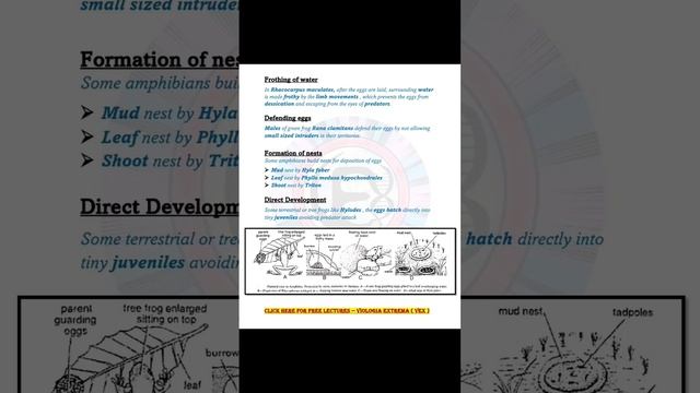 Parental Care in Amphibians complete notes by VEX