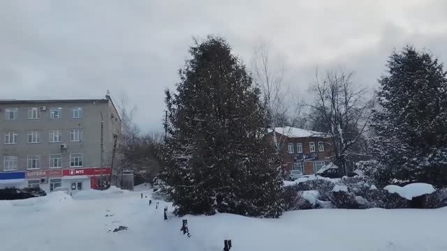 Шарья предновогодняя. Центральная библиотека.