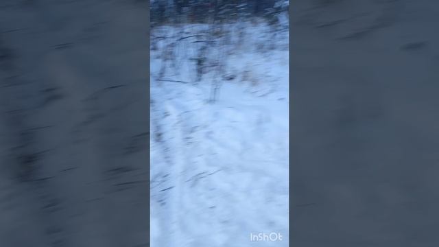 Эндуро зимиой