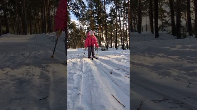 Семья•спорт•лыжи•прогулка в лесу