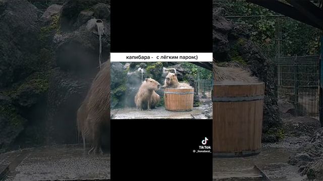 1000003812.mp4