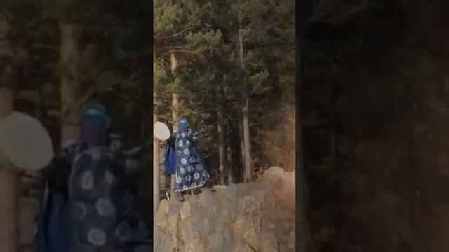 Шаманы