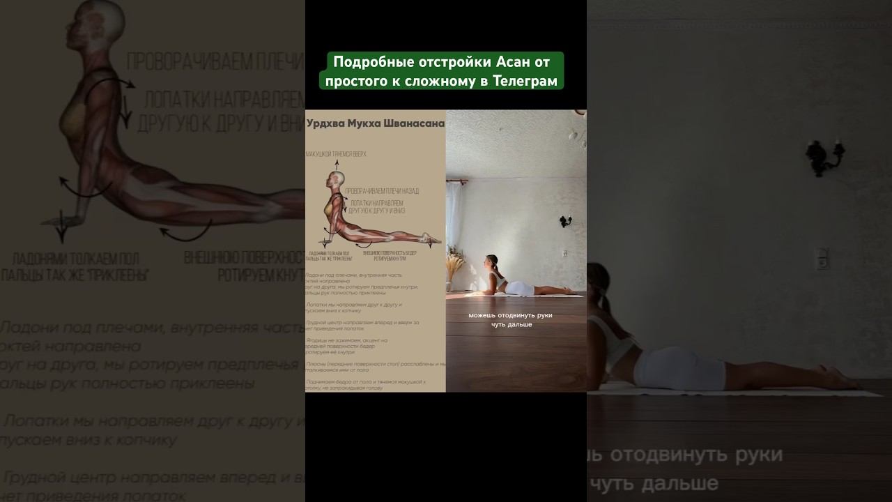Отстройки Асан от простого к сложному в Телеграм #yoga #йогаонлайн #йога  #йогадляначинающих