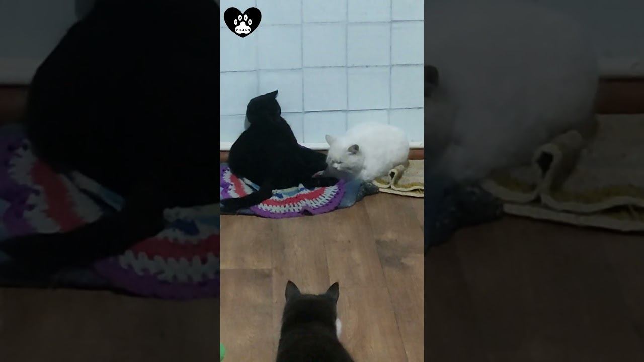 Здесь не играют