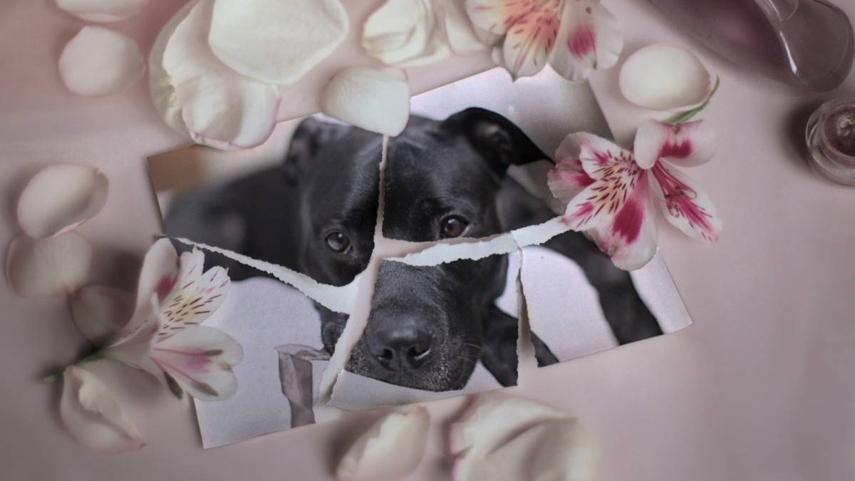 ладонь сжимается в кулак