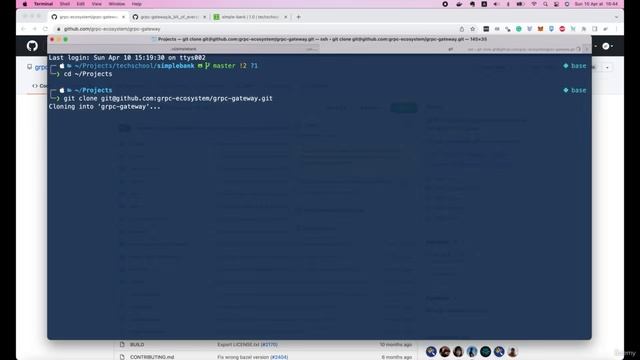 009 Автоматическое создание и предоставление документации swagger с сервера Go