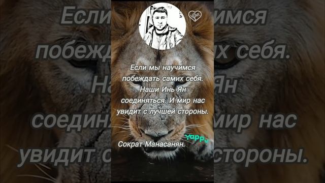 Инь Ян
