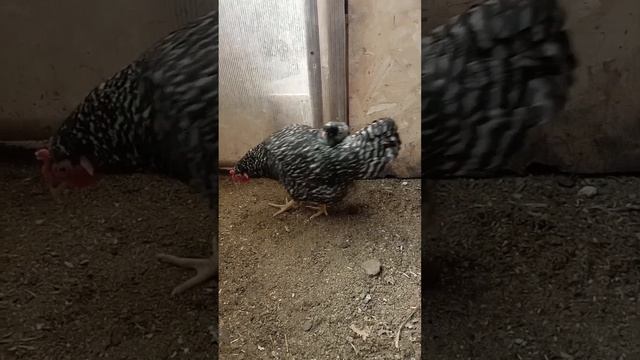 дети - они такие