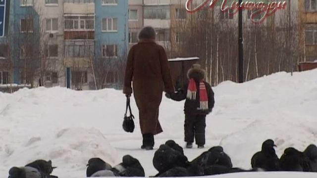 "МИМОХОДОМ", 15 декабря 2009 год. Автор проекта О. Дзиов