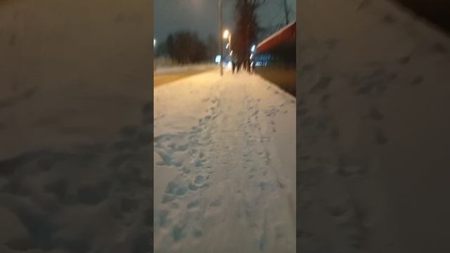scene_output.mp4