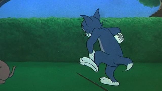 69. Защитник на привязи