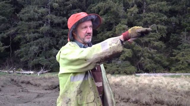Tsunami evidence in tidal land on Washington Coast