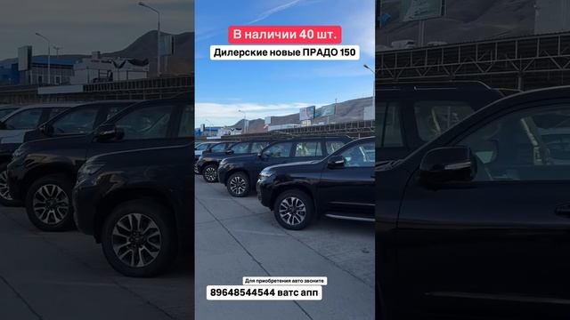 Дилерские Toyota Prado 150 Вналичии 40 шт. Авто из Грузии! 15.12.24 #автоизгрузии #автоизамерики