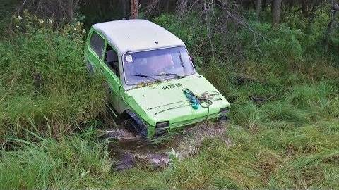 Нива. Ищем ДОТ в непроходимом лесу.