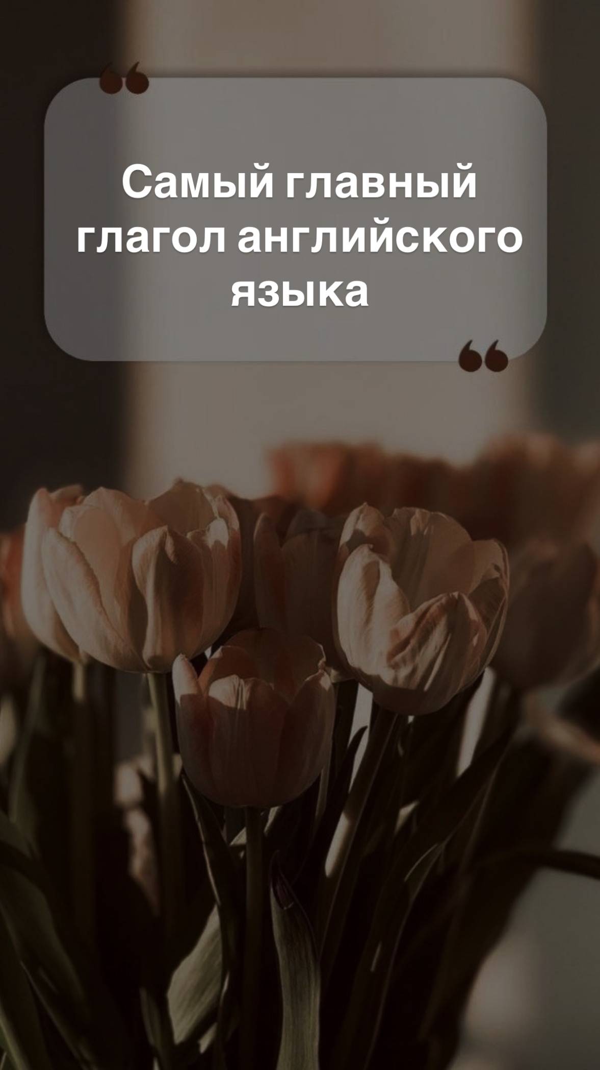 Самые главные глаголы английского языка