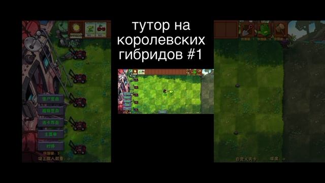 тутор на королевских гибридов #1