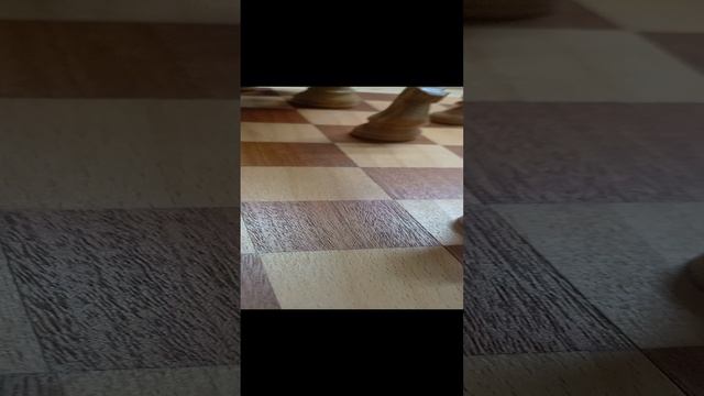 1000001819.mp4