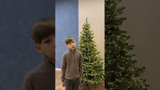 Ялушкин Евгений