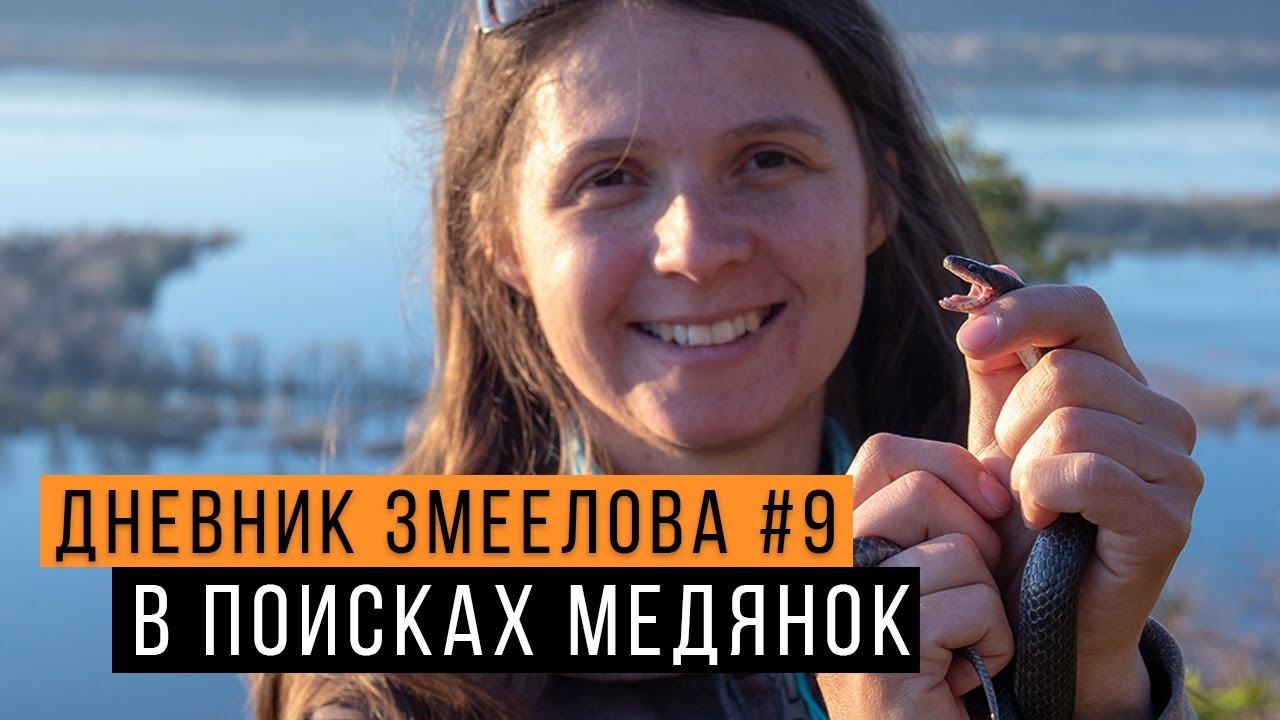 Ловим МЕДЯНОК в Жигулевском заповеднике - Дневник змеелова #9 / Змеелов - ученый